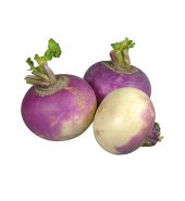 Turnip – شلجم